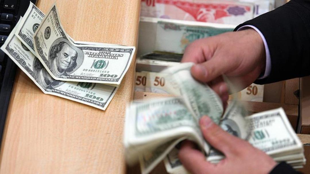 Dünyaca ünlü ekonomistten "Türkiye sürekli döviz krizi döngüsünde" çıkışı! "Devalüasyon kaçınılmaz" uyarısı 1