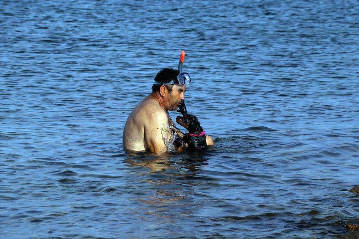 Bu köpek sahibinin sırtında yüzüyor G5