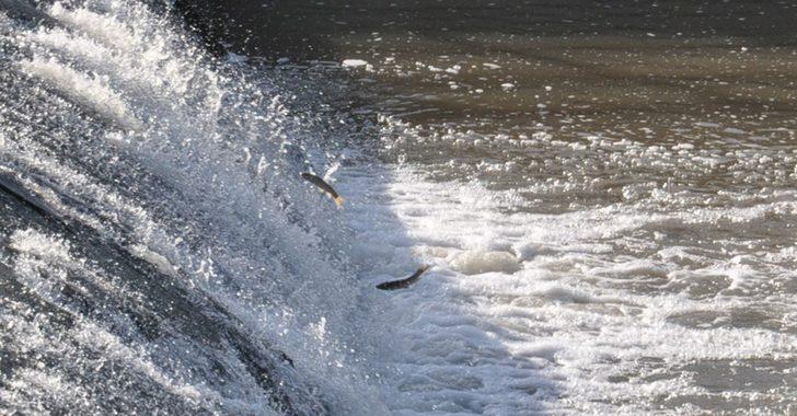 Zorlu yolculuk başladı G1