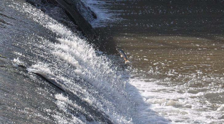 Zorlu yolculuk başladı G2