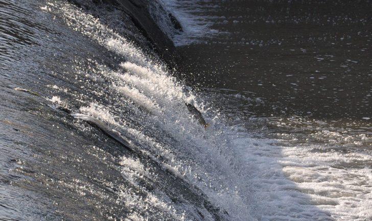 Zorlu yolculuk başladı G3