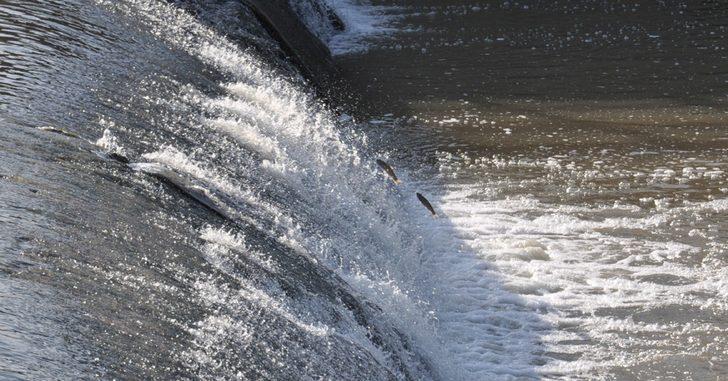 Zorlu yolculuk başladı G5