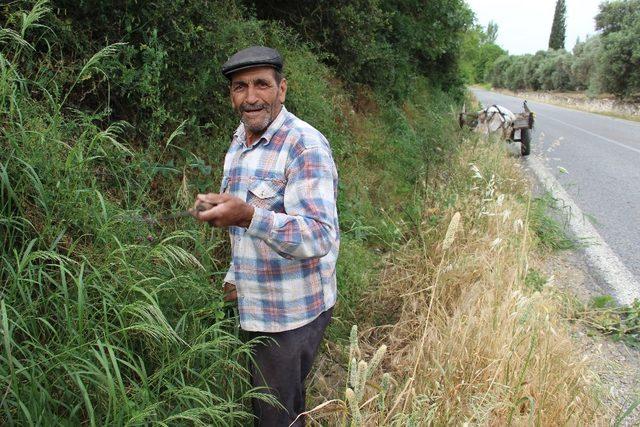 Hidayet Dede’nin hayat mücadelesi; “Mutluluğu cüzdanda değil kalpte arayın”