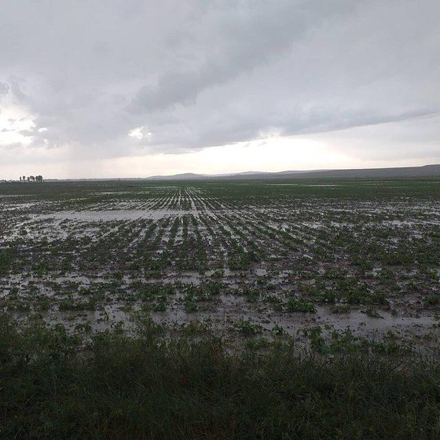 Sel, Altıntaş’ta zarara yol açtı