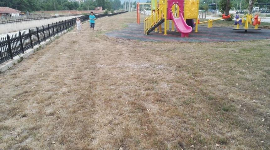 Oynadıkları alanın yeniden yeşillendirilmesini istiyorlar