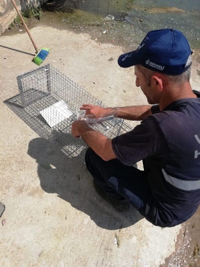 Dereye düşen kediyi itfaiye ekipleri kurtardı