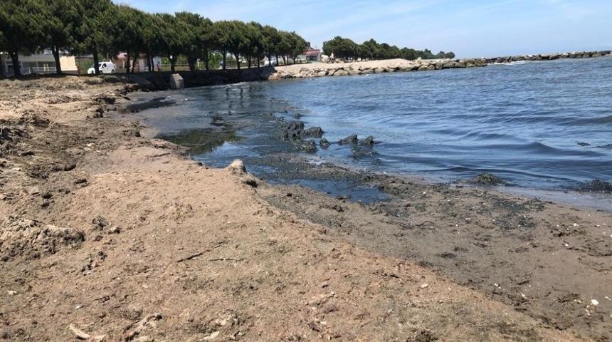 O plajlar halkın kullanımına kapatıldı