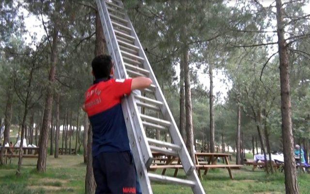 İtfaiye ekipleri güvercin için seferber oldu