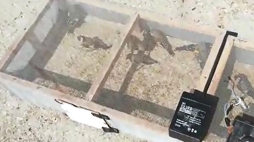 Saka kuşu avlayan Suriyeli'ye rekor ceza!