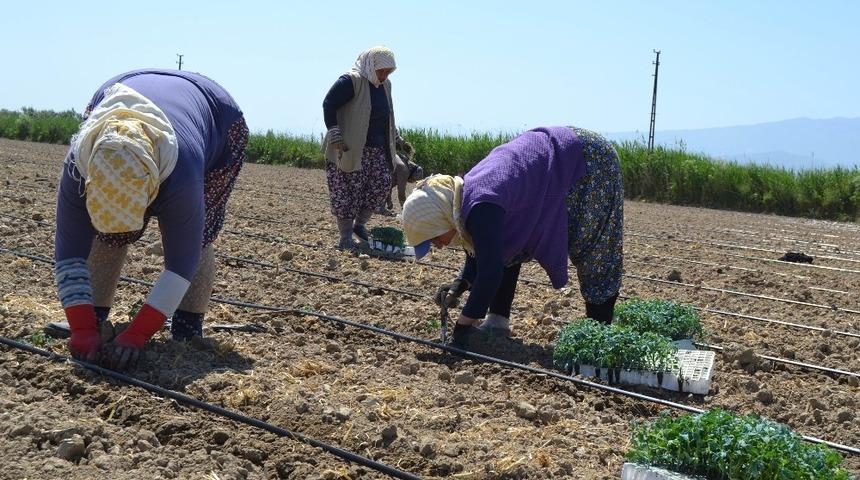 Salihli&rsquo;de iş&ccedil;i ve bi&ccedil;erd&ouml;ver fiyatları belirlendi