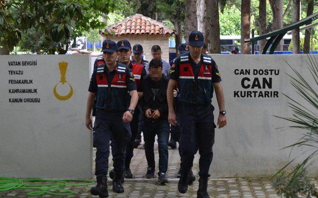 Manisa'da çiftlikteki cinayete 1 tutuklama