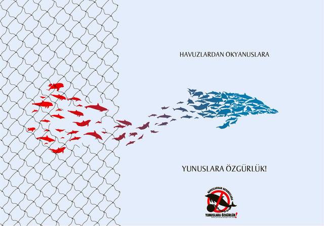 Yunuslara Özgürlük Platformu: Tematik akvaryumlarda yunus ve balina esareti yasaklansın