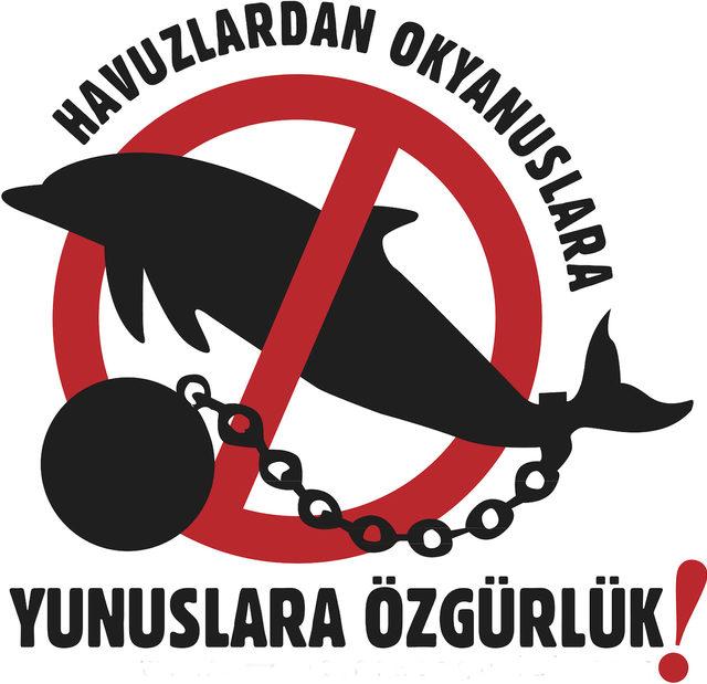 Yunuslara Özgürlük Platformu: Tematik akvaryumlarda yunus ve balina esareti yasaklansın