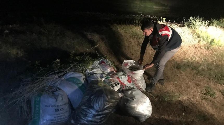 Jandarmanın ka&ccedil;ak avcılarla m&uuml;cadelesi