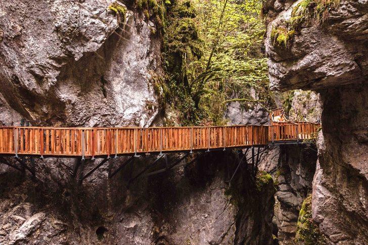 Türkiye'nin dünyaya armağanı: Küre Dağları G1