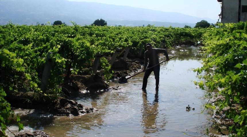 Sarıg&ouml;l&rsquo;de &uuml;z&uuml;m bağlarında bakım
