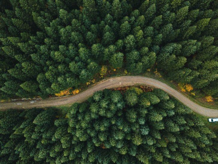 Türkiye'nin dünyaya armağanı: Küre Dağları G5