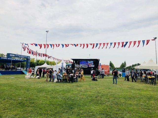 İBB “Çevre Temizliği ve Geri Dönüşüm” konulu resim ve slogan yarışması ödül töreni düzenledi