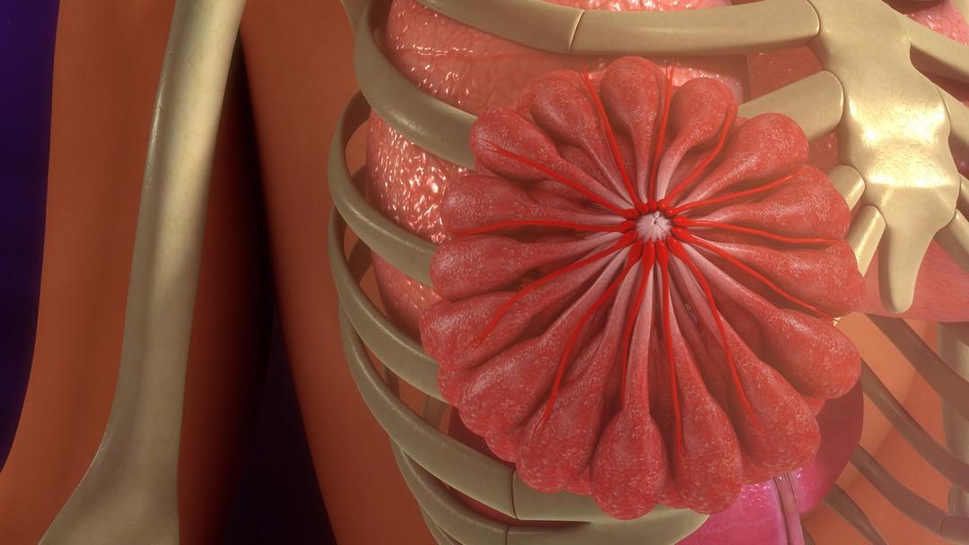  Kadın v&uuml;cudunun ne kadar b&uuml;y&uuml;leyici olduğunu g&ouml;steren ger&ccedil;ekler