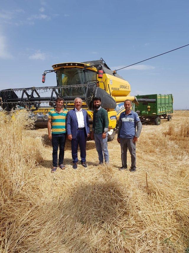 Başkan Şahan’dan hasat değerlendirmesi