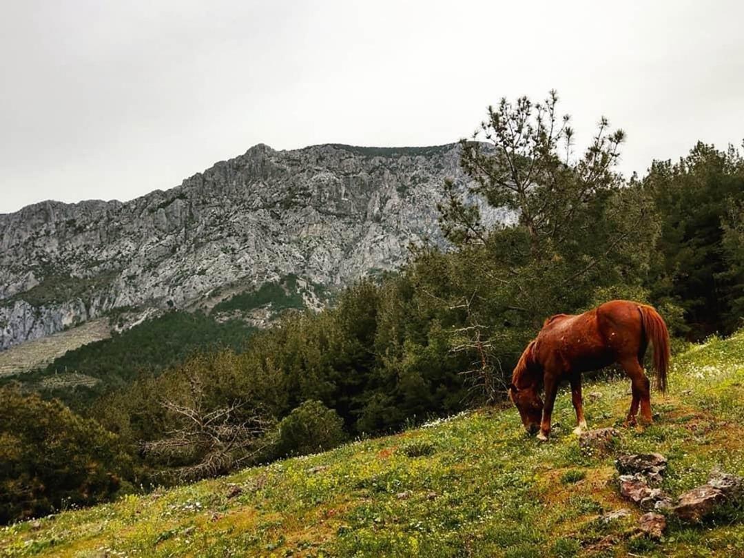Usta fotoğraf&ccedil;ılara taş &ccedil;ıkardılar