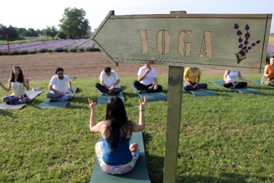 &lsquo;Lavanta&rsquo; tarlasında yoga ile g&uuml;ne başladılar