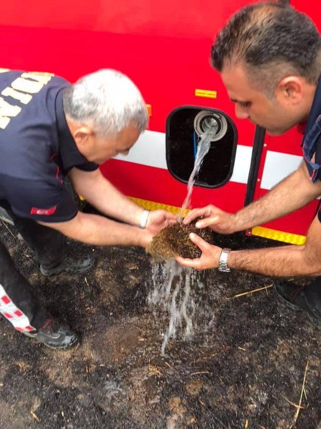 İtfaiyeden yangında mahsur kalan kirpiye hayati müdahale