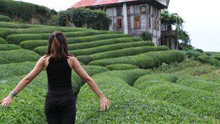 Çay bahçesi turistlerin ilgi odağı oldu
