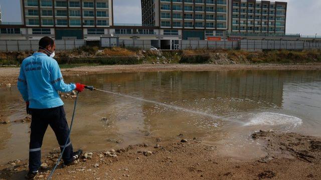 Adana’da vektör mücadelesi gece gündüz sürüyor