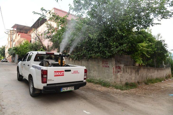 Adana’da vektör mücadelesi gece gündüz sürüyor G2