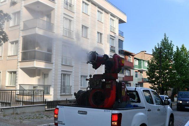 Beylikdüzü’nde yazın haşere sorunu olmayacak