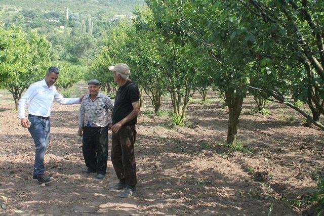 İl Müdürü Yoldaş, kiraz üreticileriyle bir araya geldi