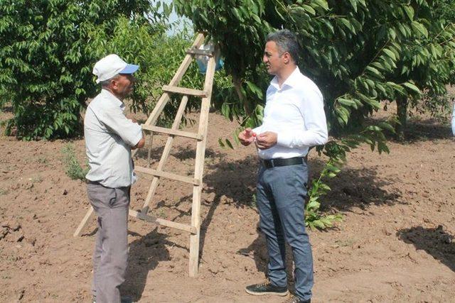 İl Müdürü Yoldaş, kiraz üreticileriyle bir araya geldi