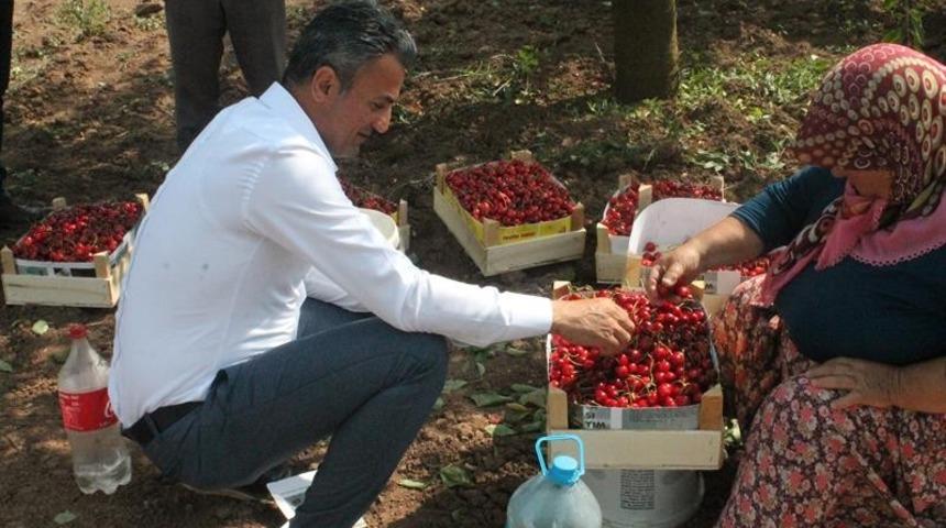 İl M&uuml;d&uuml;r&uuml; Yoldaş, kiraz &uuml;reticileriyle bir araya geldi