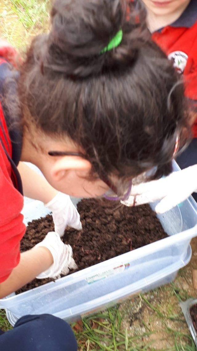 Öğrenciler kendi gübresini kendisi üretiyor