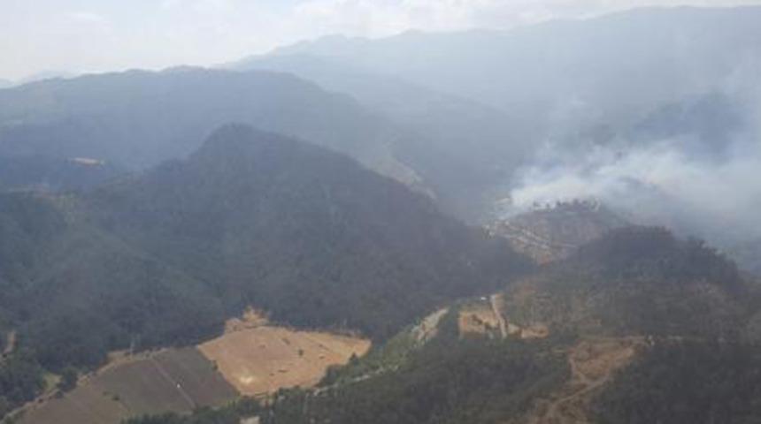 Kahramanmaraş'ta bahçeyi temizlerken ormanı yaktılar