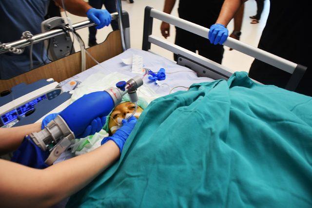Malatya'da, 5 hastaya eş zamanlı karaciğer nakli operasyonu başarıyla tamamlandı (2)- Yeniden