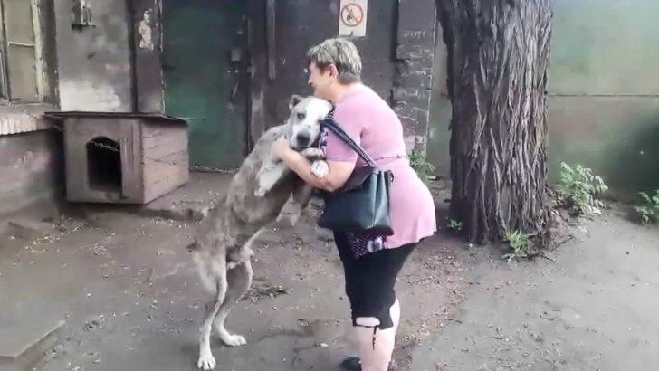 İki yıldır kayıp olan köpek, ailesine kavuştu G5