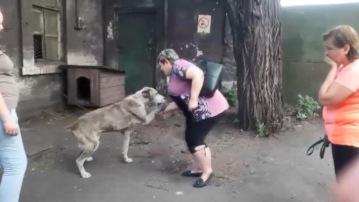 İki yıldır kayıp olan köpek, ailesine kavuştu G4