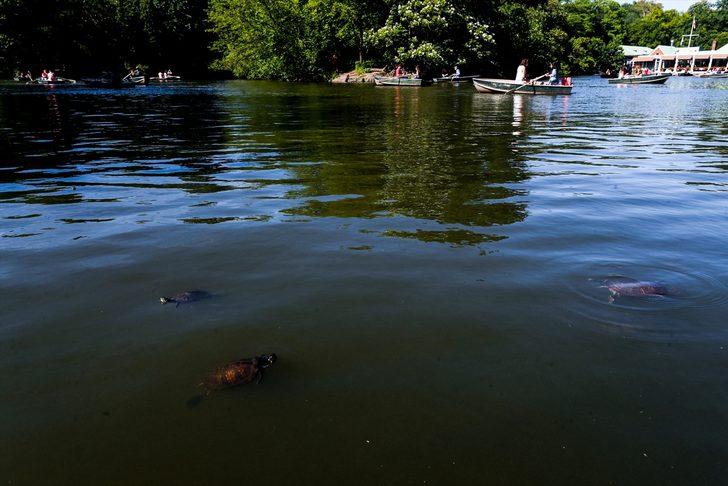 New York'ta sıcak havanın keyfini çıkardılar G5