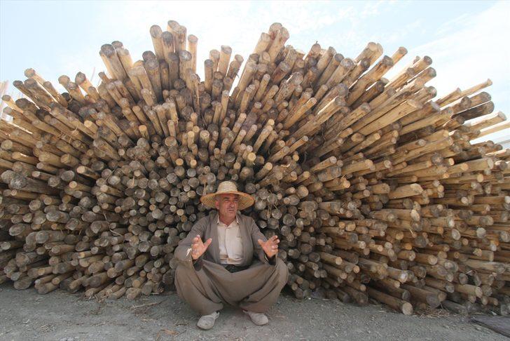 Irak'ta odun pazarı G1