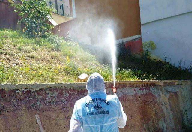 Karasinek, larva ve uçkunla mücadele gece gündüz devam ediyor