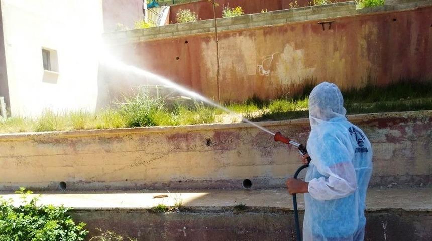 Karasinek, larva ve u&ccedil;kunla m&uuml;cadele gece g&uuml;nd&uuml;z devam ediyor