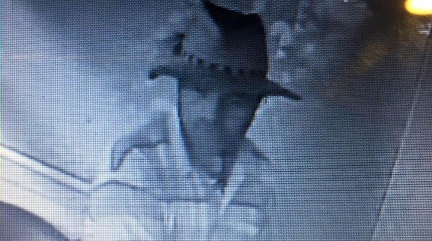 16 kamerayı durduran hırsız, 1 kamerayı unutunca yakalandı