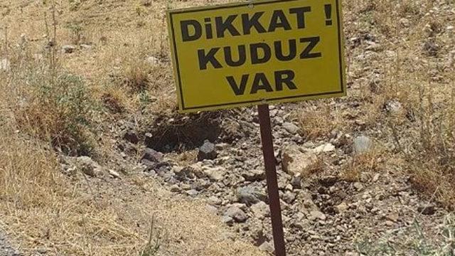 Köpek kuduz çıktı, köy karantinaya alındı