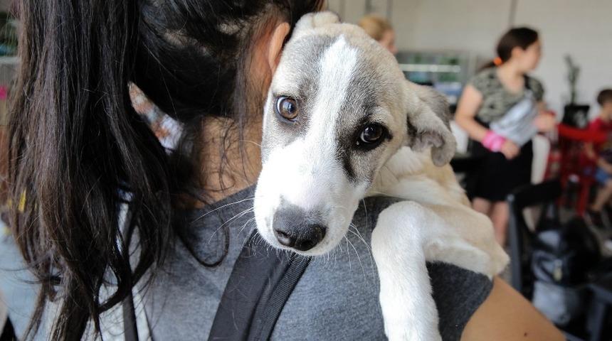 Buca&rsquo;da dikkat &ccedil;eken &rsquo;satın alma sahiplen&rsquo; kampanyası