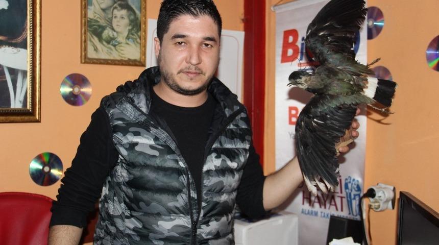 &Ouml;len kuşunu g&ouml;mmek istemeyince zanaatkar oldu