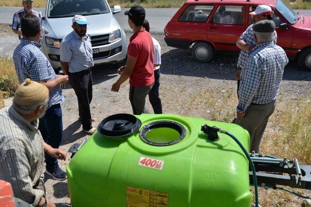 Buğday Ekili Alanlarda Süne Zararlısı İle Mücadele Tüm Hızıyla Devam Ediyor