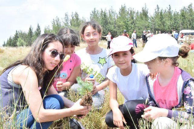 Milli mücadelenin 100’üncü yılında 1919 ağaç dikildi