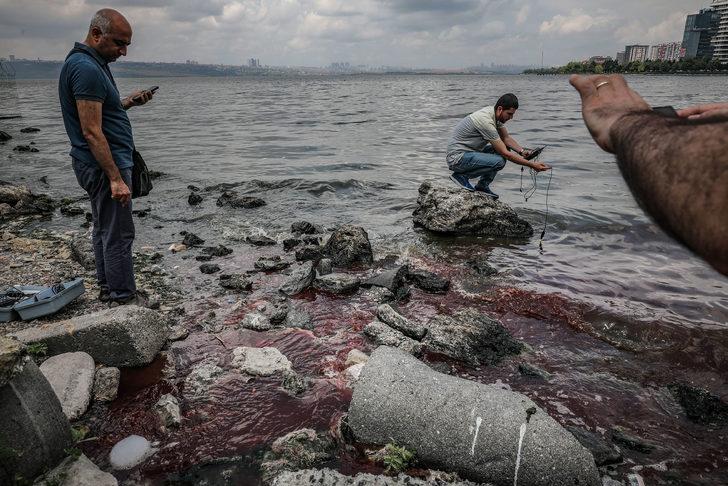 Küçükçekmece Gölü'nde korkutan görüntü! G1